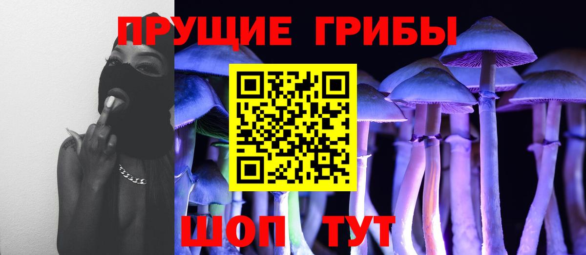 Галлюциногенные грибы мицелий Дмитров
